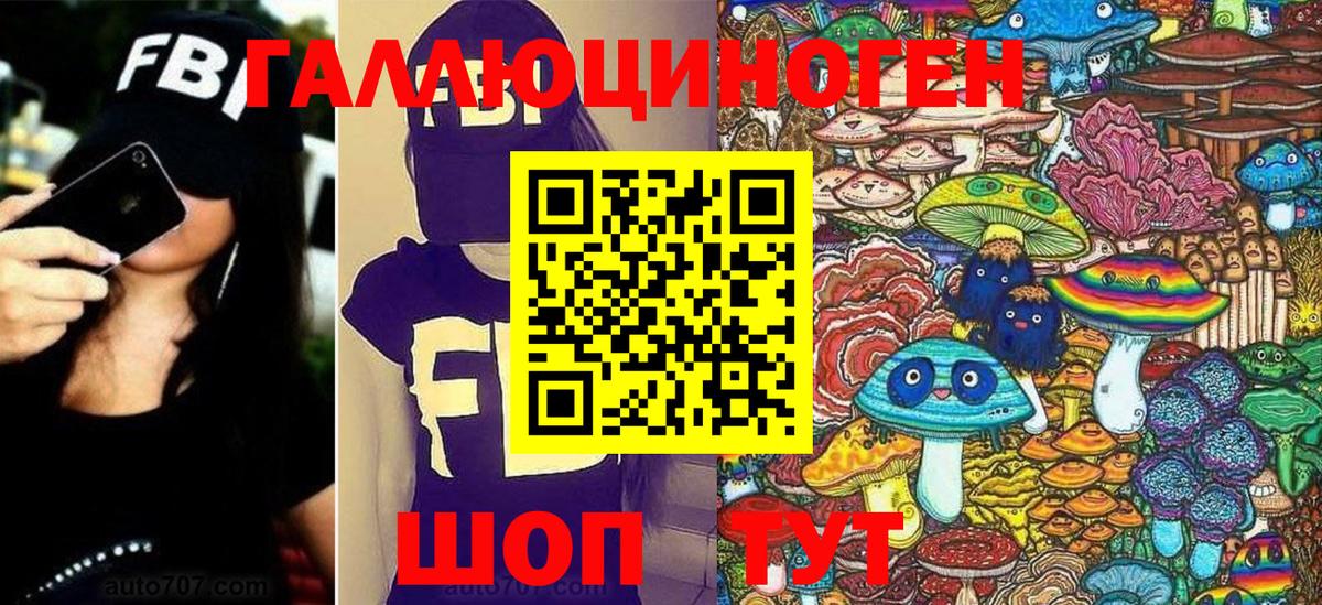Галлюциногенные грибы Psilocybe Михайловка