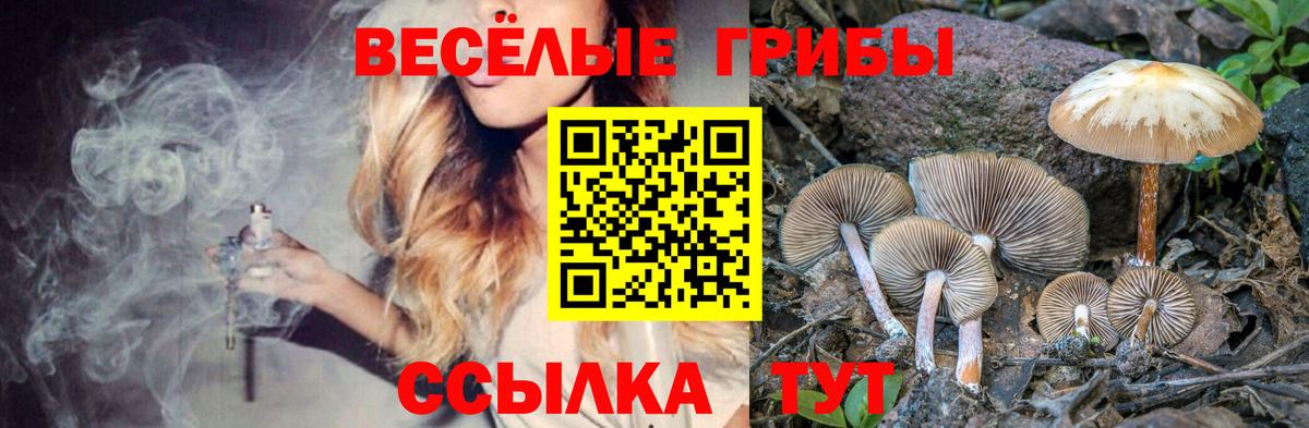 Михайловка  Галлюциногенные грибы мицелий  где купить наркотик  Вход с VPN 