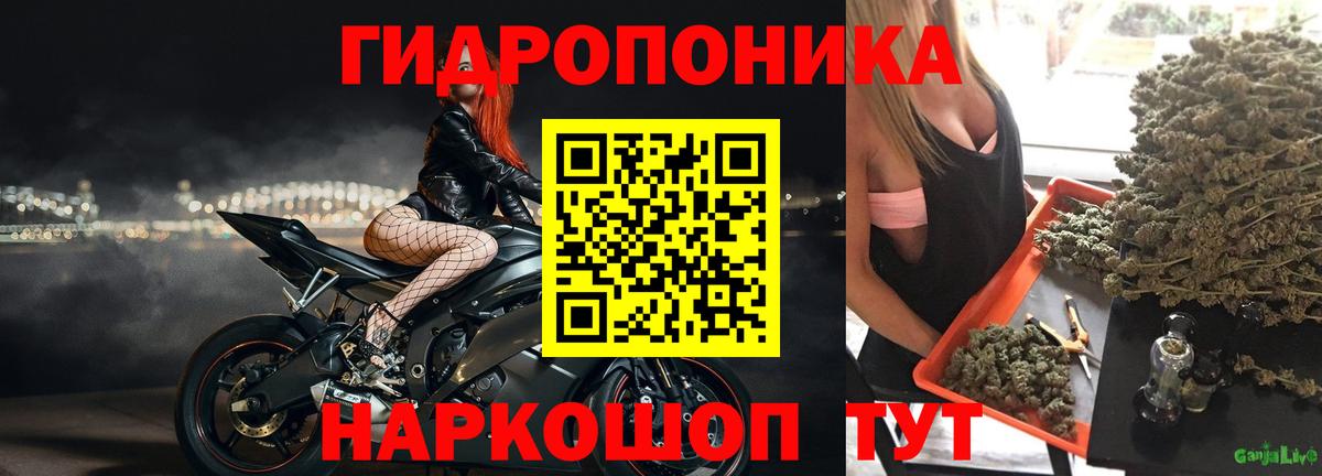 Канабис планчик  Каннабис Amnesia  Каннабис MAZAR  Михайловка  Вход с VPN 