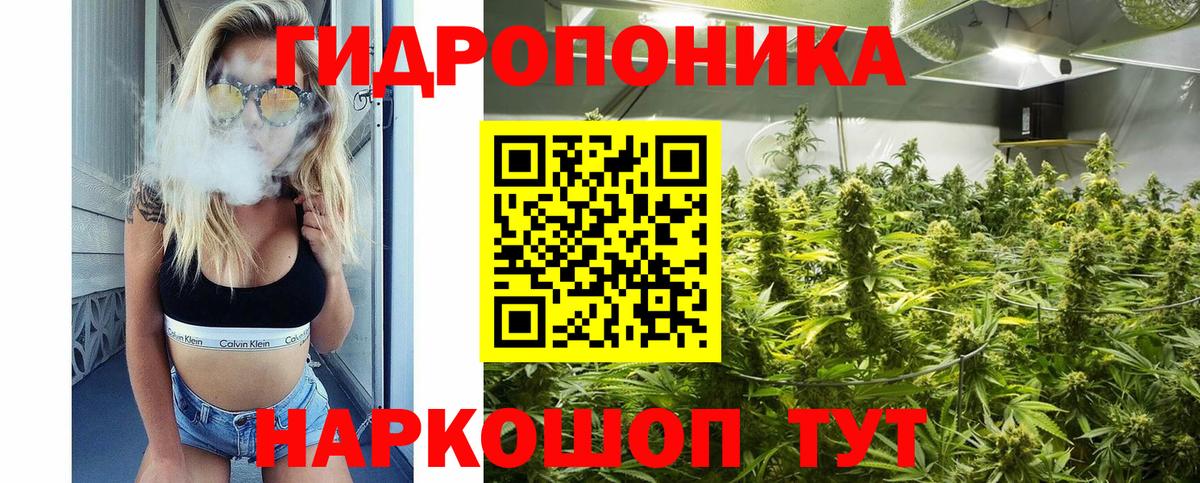 Конопля MAZAR Михайловка